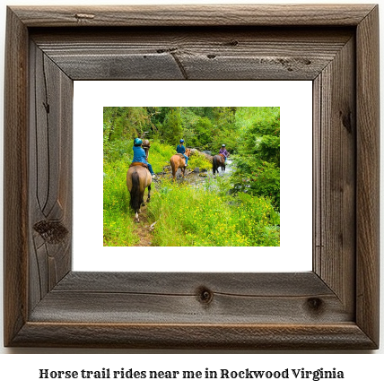 horse trail rides near me in Rockwood, Virginia